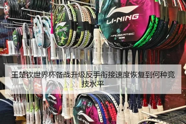 王楚钦世界杯备战升级反手衔接速度恢复到何种竞技水平
